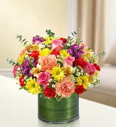 Cherished Memories - Bright Davenport Florist - Same Day Flower Delivery - Flower Power 
